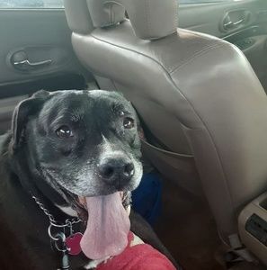 Meet your Posher, Marshella